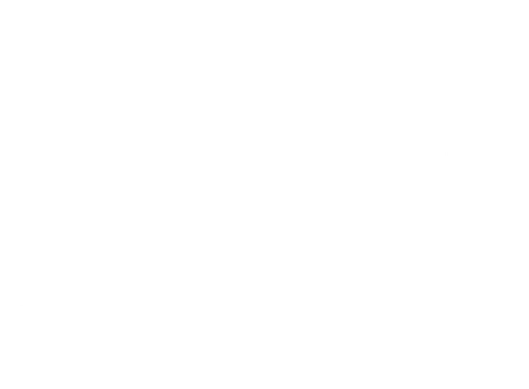 Exemplo de modelo evolucionário